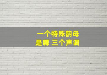 一个特殊韵母是哪 三个声调